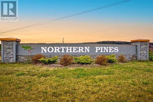 60 Jack Pine Drive, Spaniard'S Bay, NL - Outdoor With View