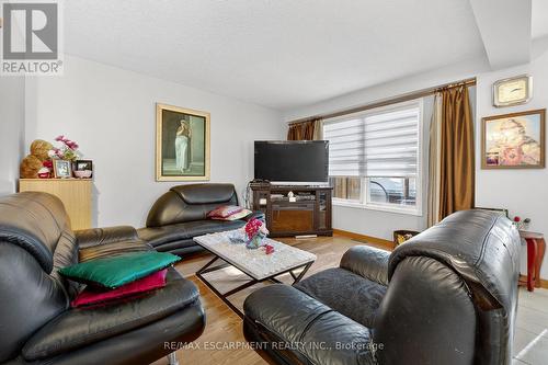 36 Cluny Avenue, Hamilton, ON - Indoor Photo Showing Living Room