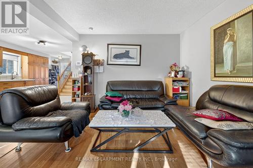 36 Cluny Avenue, Hamilton, ON - Indoor Photo Showing Living Room