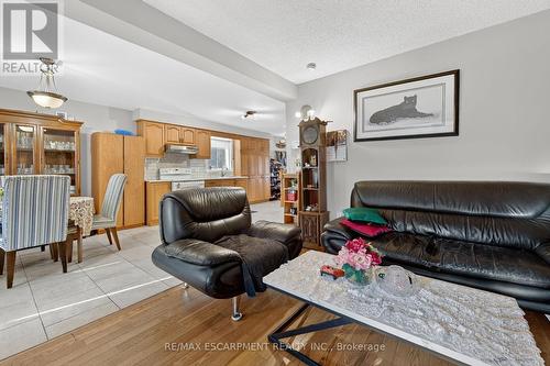 36 Cluny Avenue, Hamilton, ON - Indoor Photo Showing Living Room