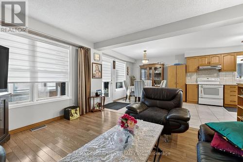 36 Cluny Avenue, Hamilton, ON - Indoor Photo Showing Living Room