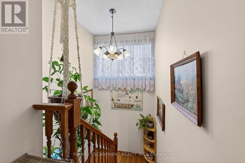 36 Cluny Avenue, Hamilton, ON - Indoor Photo Showing Other Room