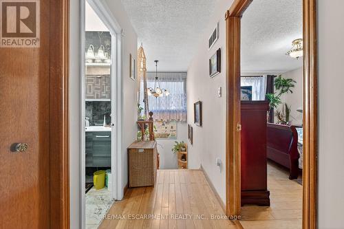 36 Cluny Avenue, Hamilton, ON - Indoor Photo Showing Other Room