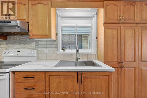 36 Cluny Avenue, Hamilton, ON - Indoor Photo Showing Kitchen With Double Sink