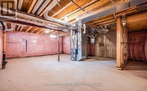 59 Hager Crk Terrace, Hamilton, ON - Indoor Photo Showing Basement