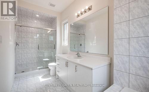 59 Hager Crk Terrace, Hamilton, ON - Indoor Photo Showing Bathroom