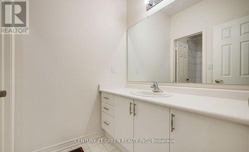 59 Hager Crk Terrace, Hamilton, ON - Indoor Photo Showing Bathroom