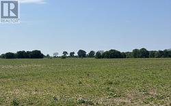 0 DOWNIE ROAD  Dawn-Euphemia, ON N0P 1C0