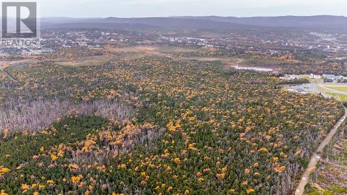 162-218 Red Head Road, Flatrock, NL 