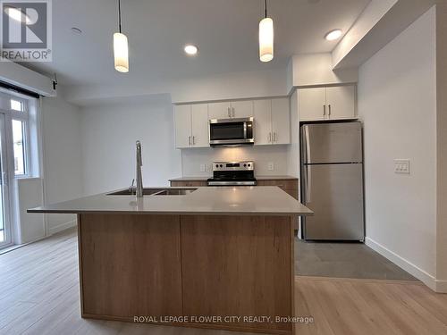 49 - 31 Mill Street, Kitchener, ON - Indoor Photo Showing Kitchen With Double Sink