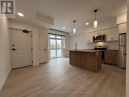 49 - 31 Mill Street, Kitchener, ON - Indoor Photo Showing Kitchen