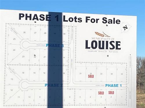 0 Goudney Avenue, Pilot Mound, MB 