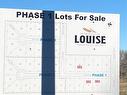 0 Goudney Avenue, Pilot Mound, MB 