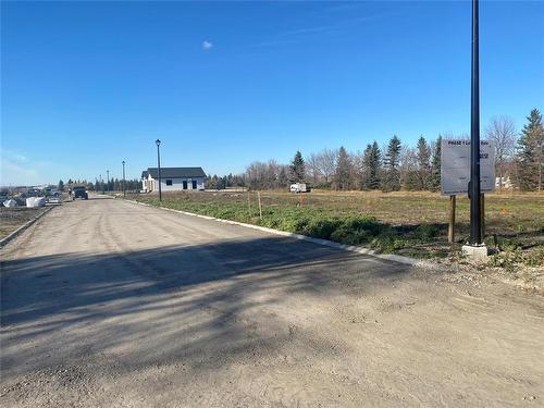 0 Goudney Avenue, Pilot Mound, MB 