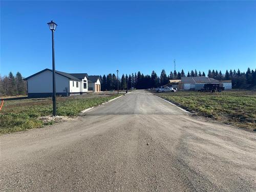 0 Goudney Avenue, Pilot Mound, MB 