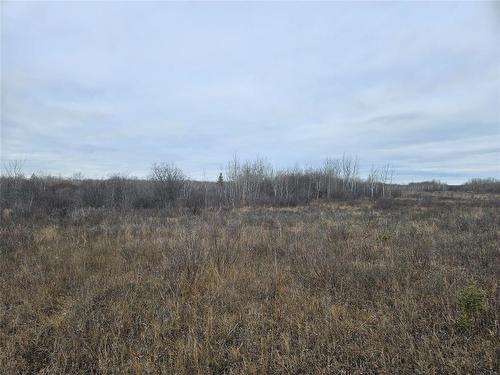 0 15E Road, Armstrong, MB 