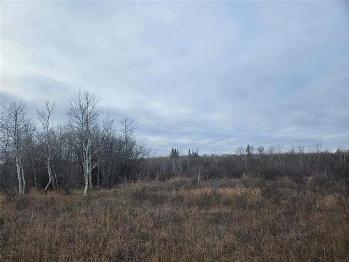 0 15E Road, Armstrong, MB 