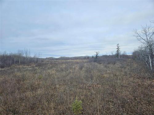 0 15E Road, Armstrong, MB 