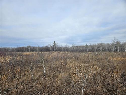 0 15E Road, Armstrong, MB 