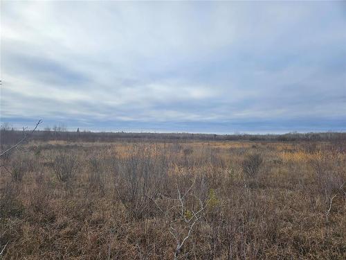 0 15E Road, Armstrong, MB 