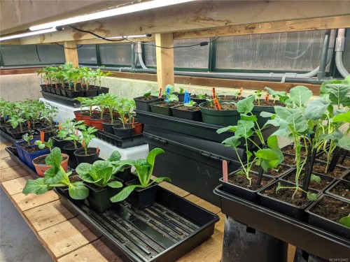 3281 Mcguire Way, Nanaimo, BC 