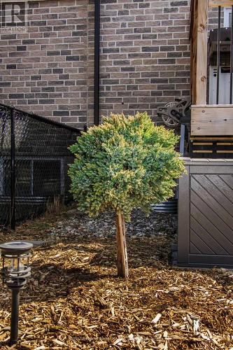 64 College Street, Quinte West (Trenton Ward), ON - Outdoor