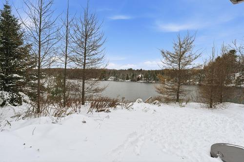 Cour - 150 Ch. Papp, Rivière-Rouge, QC - Outdoor With View