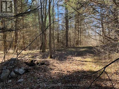 00 Con11 Pine Grove Road, Greater Napanee (Greater Napanee), ON 