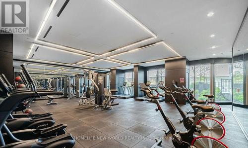 415 - 31 Tippett Road, Toronto, ON - Indoor Photo Showing Gym Room