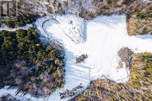 133 Berriedale Road, Armour, ON 