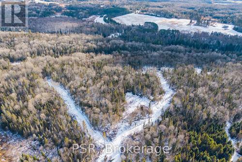 133 Berriedale Road, Armour, ON 