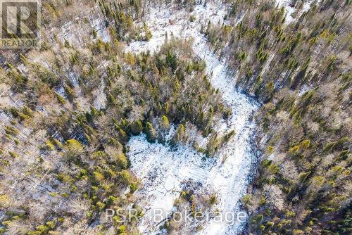 133 Berriedale Road, Armour, ON 