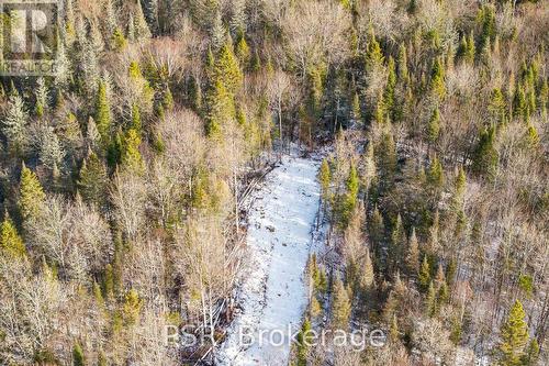 133 Berriedale Road, Armour, ON 