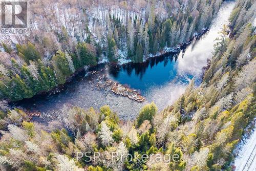 133 Berriedale Road, Armour, ON 