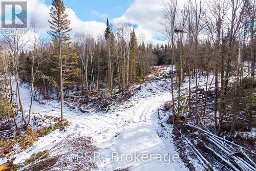 133 Berriedale Road, Armour, ON 