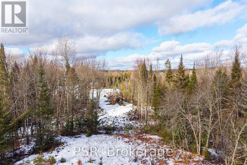 133 Berriedale Road, Armour, ON 