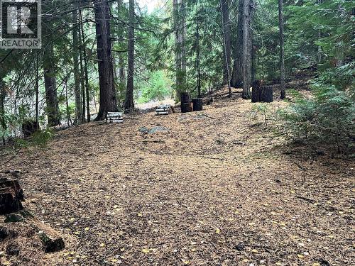 766 Drakes Road, Rossland, BC 