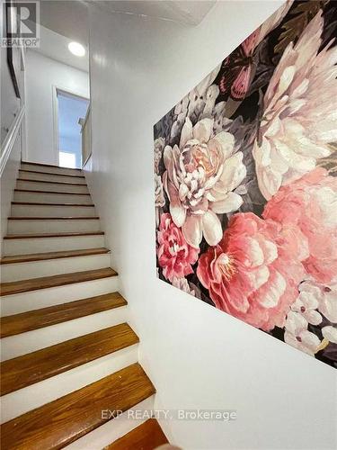 Upper - 229 Locke Street S, Hamilton, ON - Indoor Photo Showing Other Room