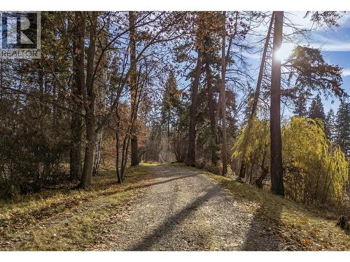 3153 Hall Road, Kelowna, BC - Outdoor With View