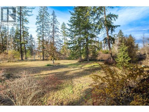 3153 Hall Road, Kelowna, BC - Outdoor With View