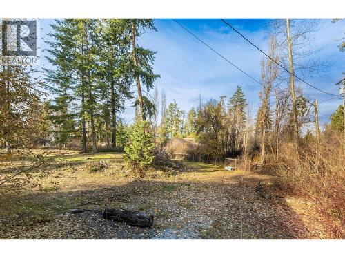 3153 Hall Road, Kelowna, BC - Outdoor With View