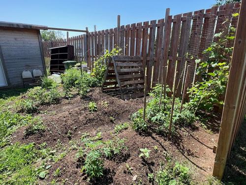 Backyard - 426 Boul. Perron E., Caplan, QC - Outdoor