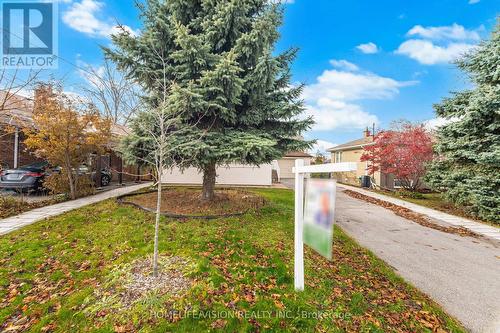 44 Armitage Drive, Toronto, ON - Outdoor