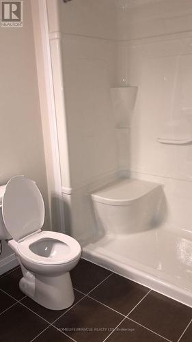 19 - 35 Midhurst Heights, Hamilton, ON - Indoor Photo Showing Bathroom