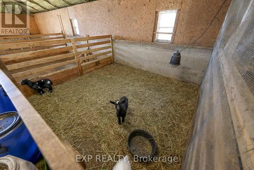 3892 Lewis Road, Thames Centre, ON - Indoor Photo Showing Bathroom