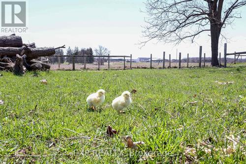 3892 Lewis Road, Thames Centre, ON - Outdoor With View