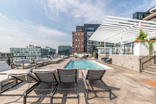 Piscine - 904-5905 Boul. Du Quartier, Brossard, QC - Outdoor With In Ground Pool