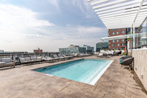 Piscine - 904-5905 Boul. Du Quartier, Brossard, QC - Outdoor With In Ground Pool