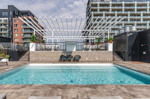 Piscine - 904-5905 Boul. Du Quartier, Brossard, QC - Outdoor With In Ground Pool