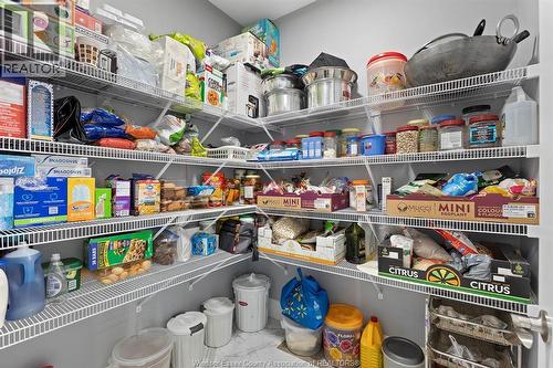 1436 Mullins Drive, Lakeshore, ON - Indoor With Storage